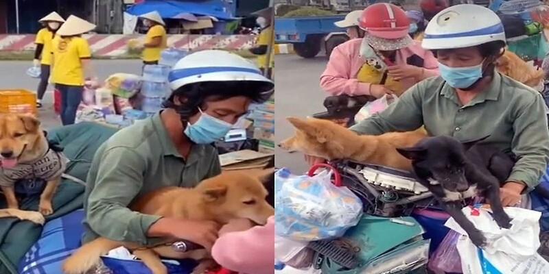 15 con chó cùng chủ vượt 300km về Cà Mau 15 con chó cùng chủ vượt 300km về Cà Mau