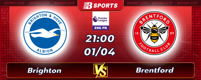 Soi kèo tỷ số Brighton vs Brentford vào lúc 21h00 ngày 01/04/2023 Soi kèo tỷ số Brighton vs Brentford vào lúc 21h00 ngày 01/04/2023