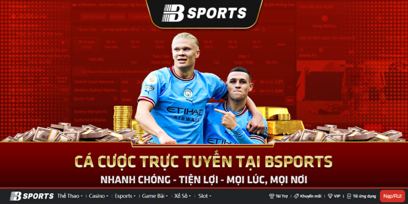 Betvision các cược thể thao Betvision các cược thể thao
