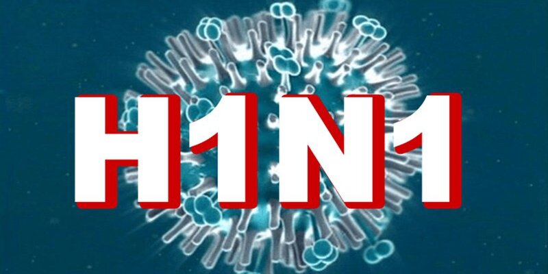 Các trường học phải làm gì để tránh bùng phát dịch H1N1? Các trường học phải làm gì để tránh bùng phát dịch H1N1?