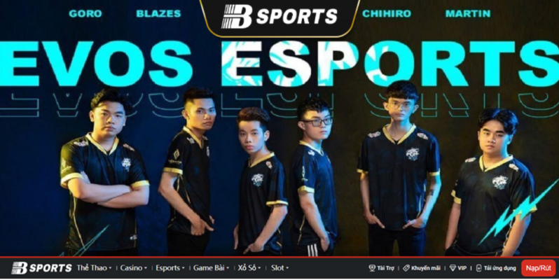 Evos Esports Bạch hổ của Liên Quân Việt Nam Evos Esports Bạch hổ của Liên Quân Việt Nam