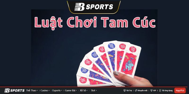 Tam Cúc Tam Cúc