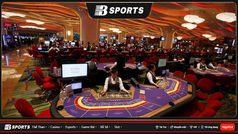 casino 67 casino 67
