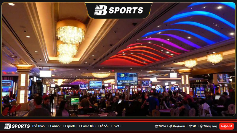 Người chơi lựa chọn cho mình địa chỉ casino uy tín và chất lượng