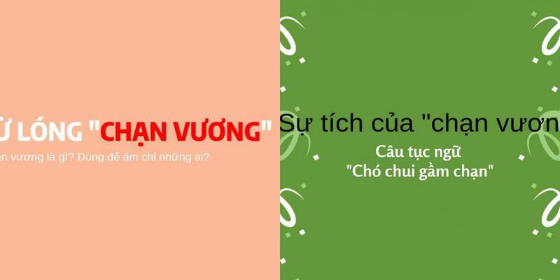 Chạn vương là gì? Nguồn gốc của từ Chạn vương Chạn vương là gì? Nguồn gốc của từ Chạn vương