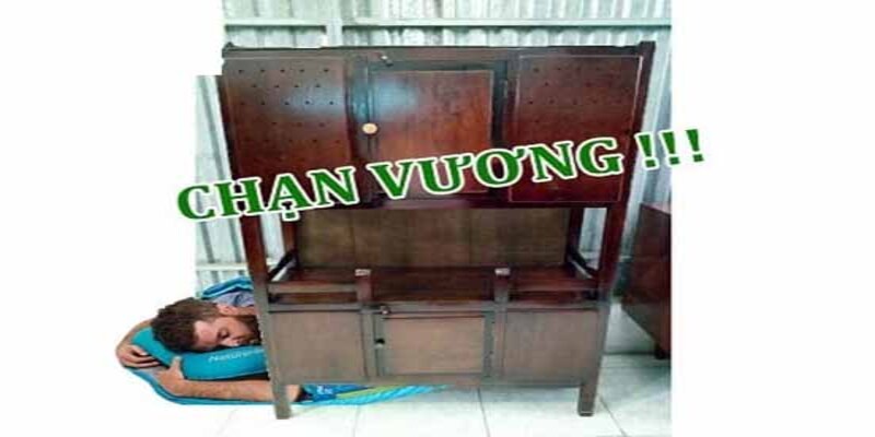 Chạn vương là gì? Chạn vương là gì?