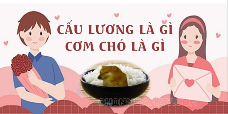 Nguồn gốc của cụm từ cơm chó (cẩu lương) Nguồn gốc của cụm từ cơm chó (cẩu lương)