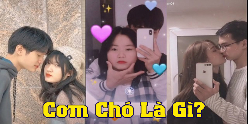 Cơm chó: Từ lóng cho cho sự lãng mạn của cặp đôi ngày nay Cơm chó: Từ lóng cho cho sự lãng mạn của cặp đôi ngày nay