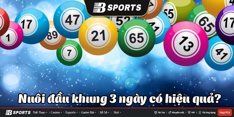 đầu đuôi khung 3 ngày đầu đuôi khung 3 ngày