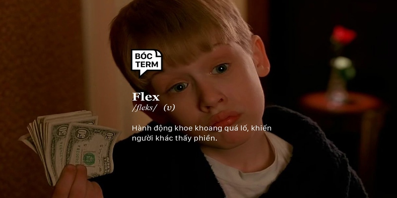 Nguồn gốc của Flex có từ đâu? Nguồn gốc của Flex có từ đâu?