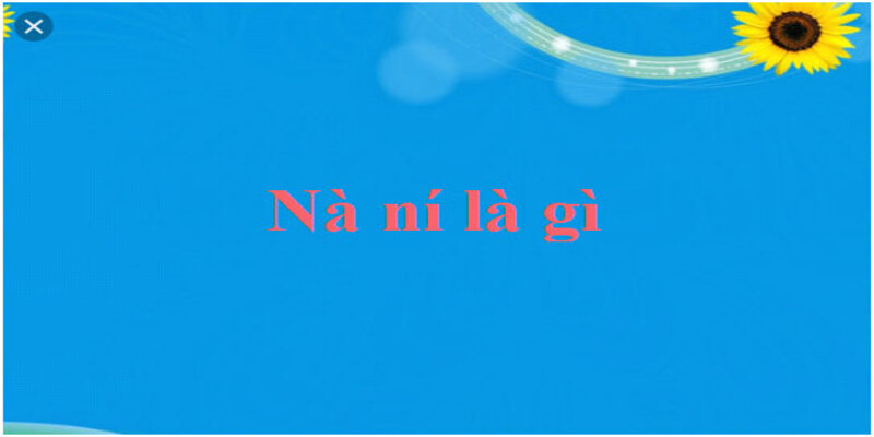 Nó là gì? Nguồn gốc của nó Nó là gì? Nguồn gốc của nó