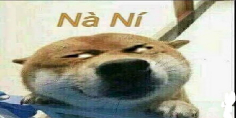 Nà ní nghĩa là gì? Nên sử dụng nó trong trường hợp nào? Nà ní nghĩa là gì? Nên sử dụng nó trong trường hợp nào?