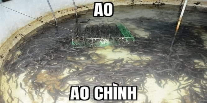 Sử dụng out trình trong trường hợp nào? Sử dụng out trình trong trường hợp nào?