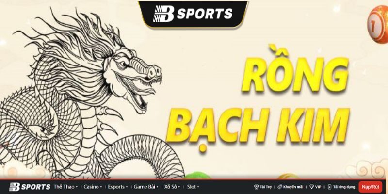 Rồng Bạch Kim Rồng Bạch Kim