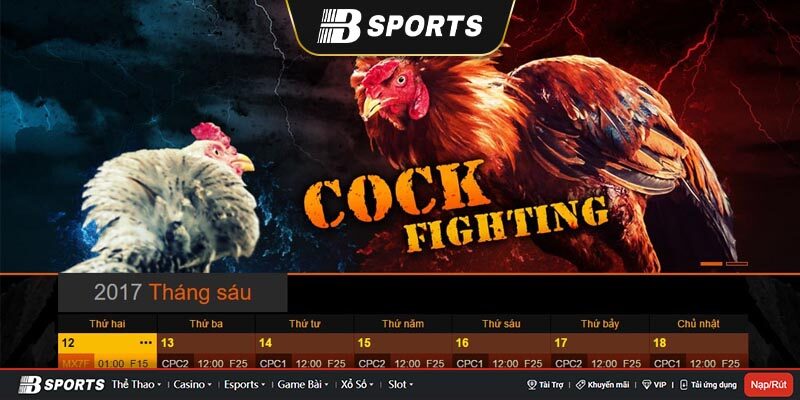 Đá Gà trên cổng nhà cái svv388 Đá Gà trên cổng nhà cái svv388