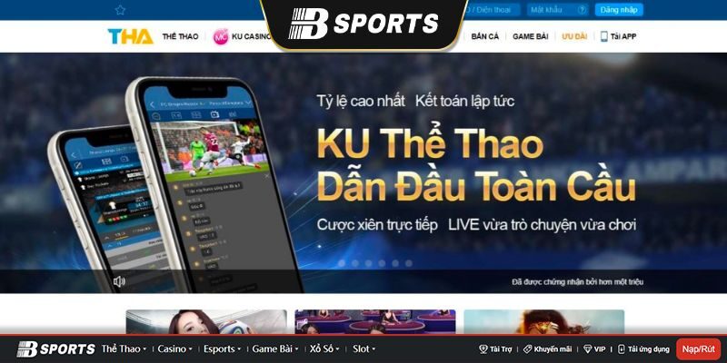 Những thông tin cơ bản về Thabet Những thông tin cơ bản về Thabet