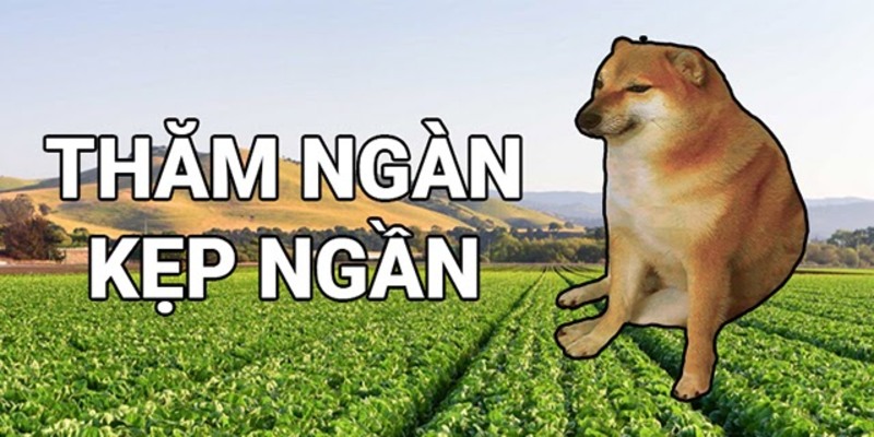 Thăm ngàn là gì? Tại sao nó lại thành hot trend hiện nay? Thăm ngàn là gì? Tại sao nó lại thành hot trend hiện nay?