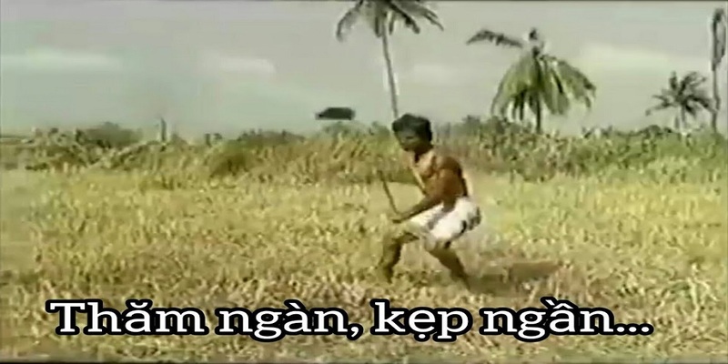 Tham ngàn là gì? Cụm từ này xuất phát từ đâu? Tham ngàn là gì? Cụm từ này xuất phát từ đâu?