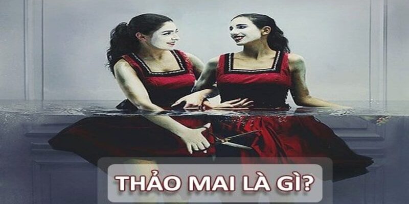 Thảo Mai là gì? Nguồn gốc của cụm từ Thảo Mai đến từ đâu? Thảo Mai là gì? Nguồn gốc của cụm từ Thảo Mai đến từ đâu?