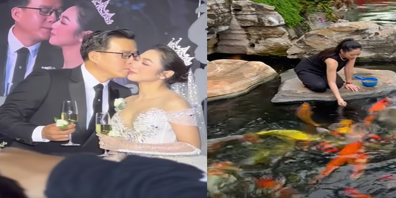 Cuộc hôn nhân ồn ào của Vua cá Koi và Hà Thanh Xuân Cuộc hôn nhân ồn ào của Vua cá Koi và Hà Thanh Xuân