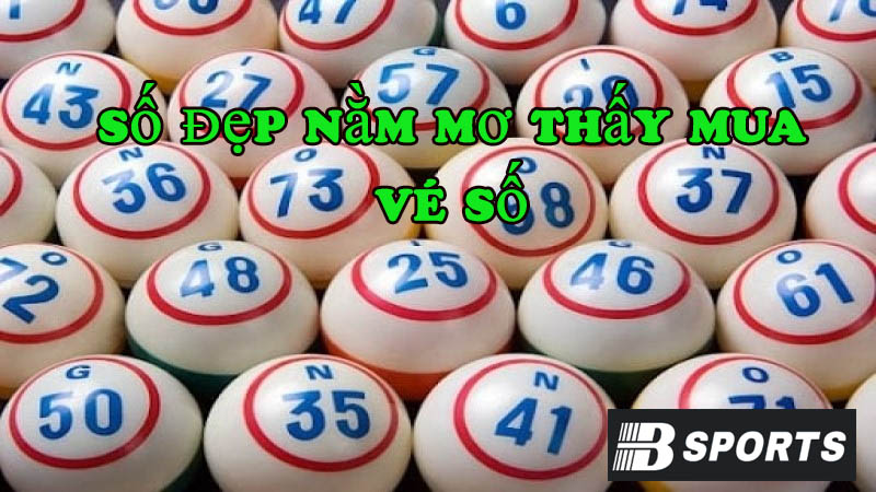 Tổng hợp những con số đẹp khi nằm mơ thấy mua vé số