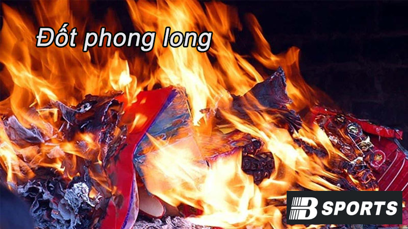 Cách đốt vía giải đen cờ bạc nhờ đốt phong long Cách đốt vía giải đen cờ bạc nhờ đốt phong long