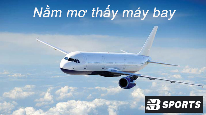 Giải nghĩa giấc mơ thấy máy bay theo quan niệm tâm linh Giải nghĩa giấc mơ thấy máy bay theo quan niệm tâm linh