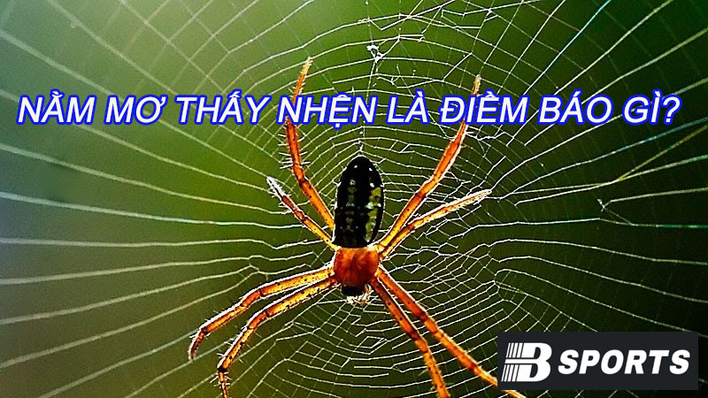 Mơ thấy mình đang nuôi nhện thì có ý nghĩa gì? Mơ thấy mình đang nuôi nhện thì có ý nghĩa gì?