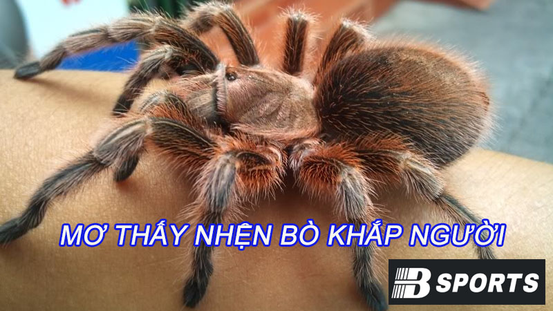 Ngủ mộng thấy nhện bò khắp người là giấc mơ xấu Ngủ mộng thấy nhện bò khắp người là giấc mơ xấu