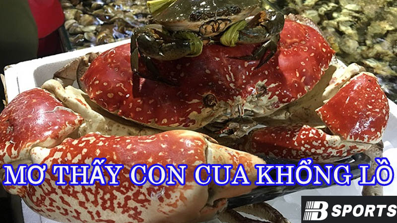 Mơ thấy con cua khổng lồ trước mặt Mơ thấy con cua khổng lồ trước mặt