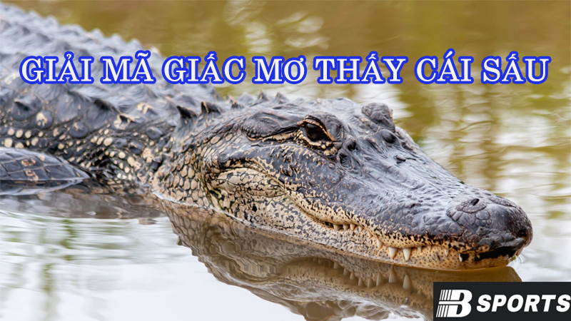 Giải mã giấc mơ thấy cá sấu Giải mã giấc mơ thấy cá sấu