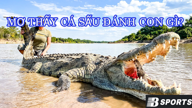 Mộng thấy cá sấu đuổi theo - mơ cá sấu đánh con gì dễ trúng nhất Mộng thấy cá sấu đuổi theo - mơ cá sấu đánh con gì dễ trúng nhất