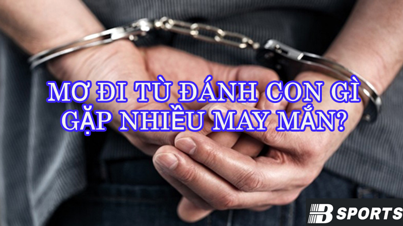 Mơ đi tù đánh con gì nhiều may mắn? Mơ đi tù đánh con gì nhiều may mắn?