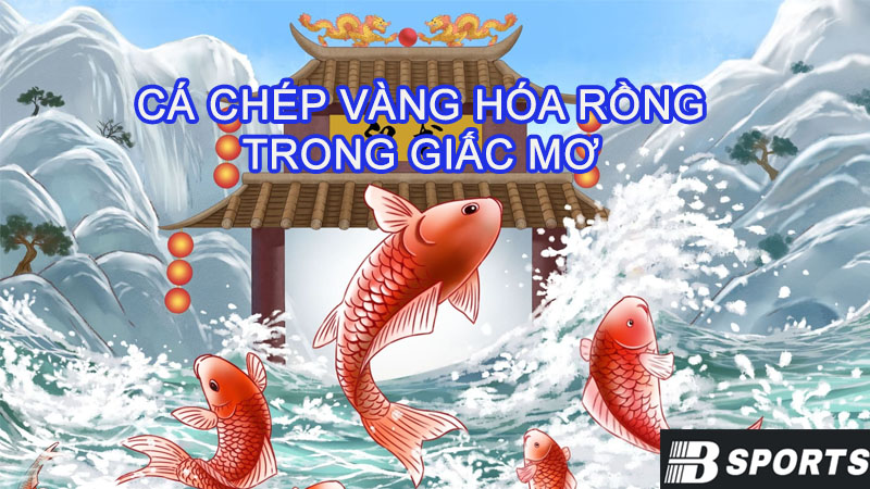 Hình ảnh cá chép vàng hóa rồng trong giấc mơ Hình ảnh cá chép vàng hóa rồng trong giấc mơ