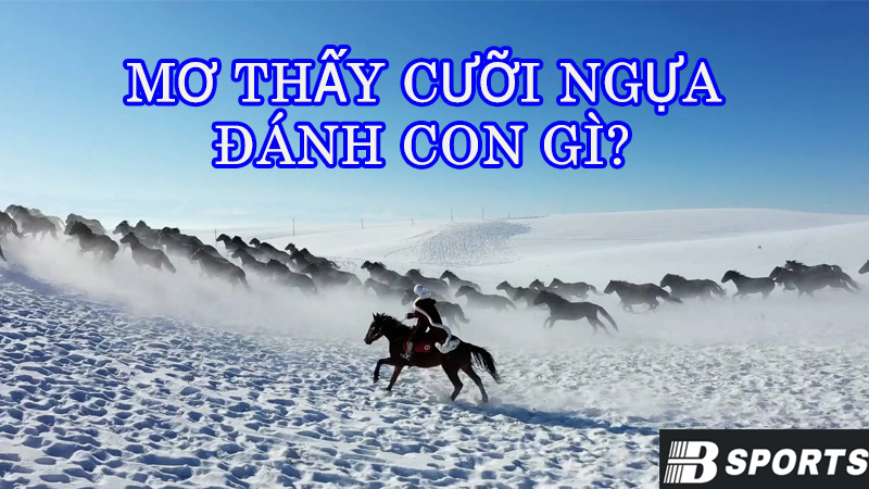 Mơ thấy cưỡi ngựa thì đánh con gì là chuẩn nhất? Mơ thấy cưỡi ngựa thì đánh con gì là chuẩn nhất?