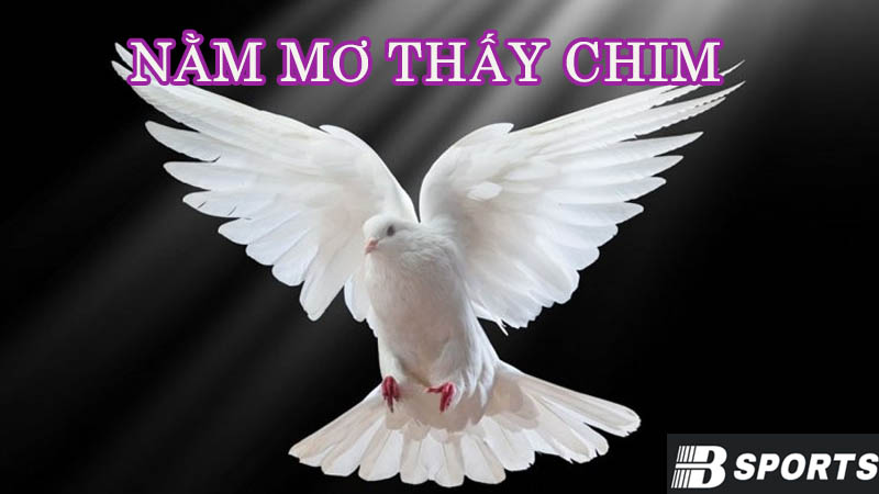 Nằm mơ thấy chim bồ câu Nằm mơ thấy chim bồ câu