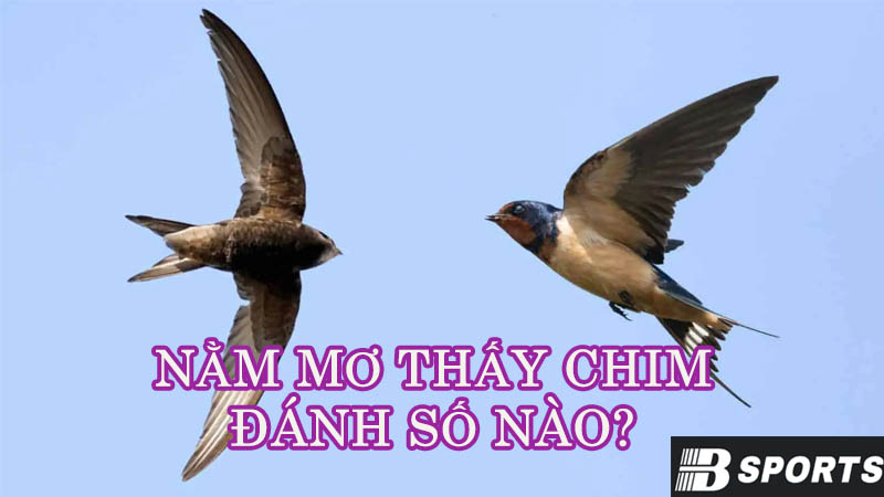 Nằm mơ thấy chim thì nên đánh con số nào may mắn hôm nay? Nằm mơ thấy chim thì nên đánh con số nào may mắn hôm nay?