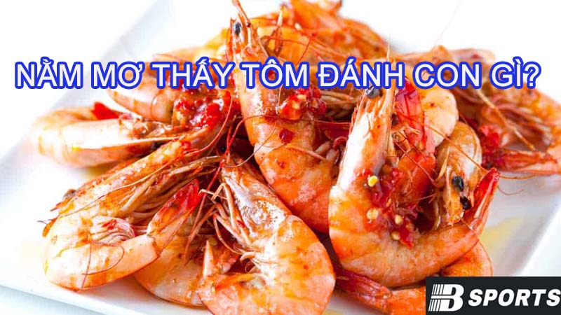 Nằm mơ thấy tôm đánh con gì để trúng lớn hôm nay?