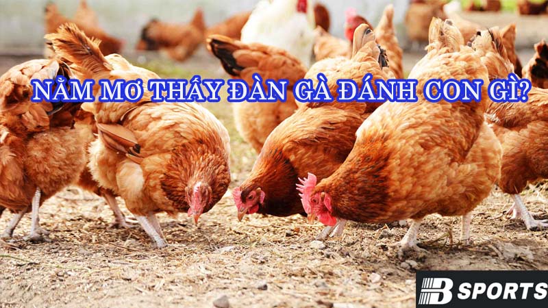 Nằm mơ thấy đàn gà đánh con gì nhanh giàu nhất? Nằm mơ thấy đàn gà đánh con gì nhanh giàu nhất?