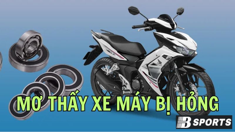 Mơ thấy xe máy bị hỏng đánh con gì hợp lý nhất? Mơ thấy xe máy bị hỏng đánh con gì hợp lý nhất?