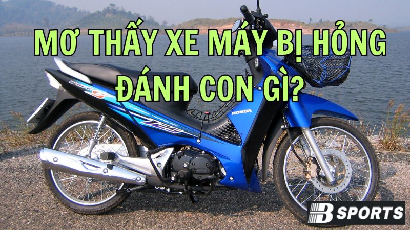 Tra cứu sổ mơ thấy xe máy bị hỏng đánh con gì? Tra cứu sổ mơ thấy xe máy bị hỏng đánh con gì?