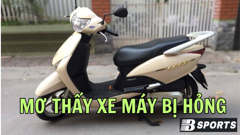 Mơ thấy xe máy bị hỏng đánh con gì dễ ăn nhất hôm nay? Mơ thấy xe máy bị hỏng đánh con gì dễ ăn nhất hôm nay?