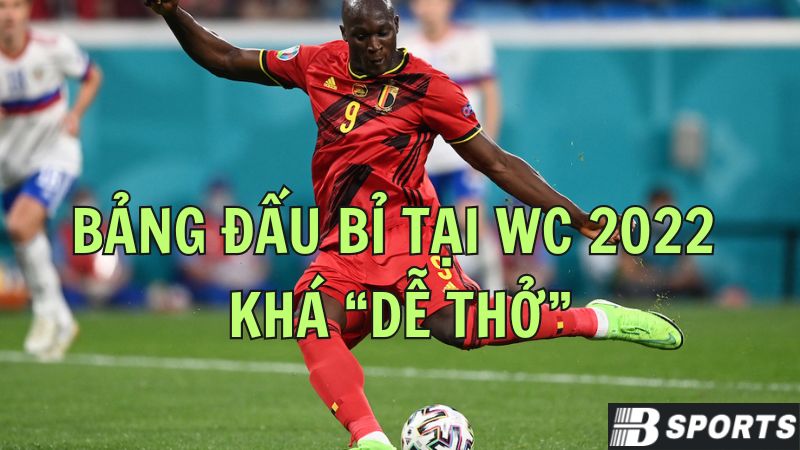 Bảng đội tuyển Bỉ World Cup 2022 khá dễ thở Bảng đội tuyển Bỉ World Cup 2022 khá dễ thở