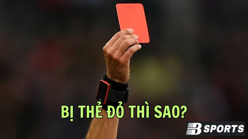 Khái niệm về chiếc thẻ đỏ trong bóng đá: bị thẻ đỏ thì sao? Khái niệm về chiếc thẻ đỏ trong bóng đá: bị thẻ đỏ thì sao?