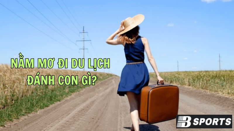 Ngủ mơ đi du lịch đánh con gì tỷ lệ trúng thưởng cao? Ngủ mơ đi du lịch đánh con gì tỷ lệ trúng thưởng cao?